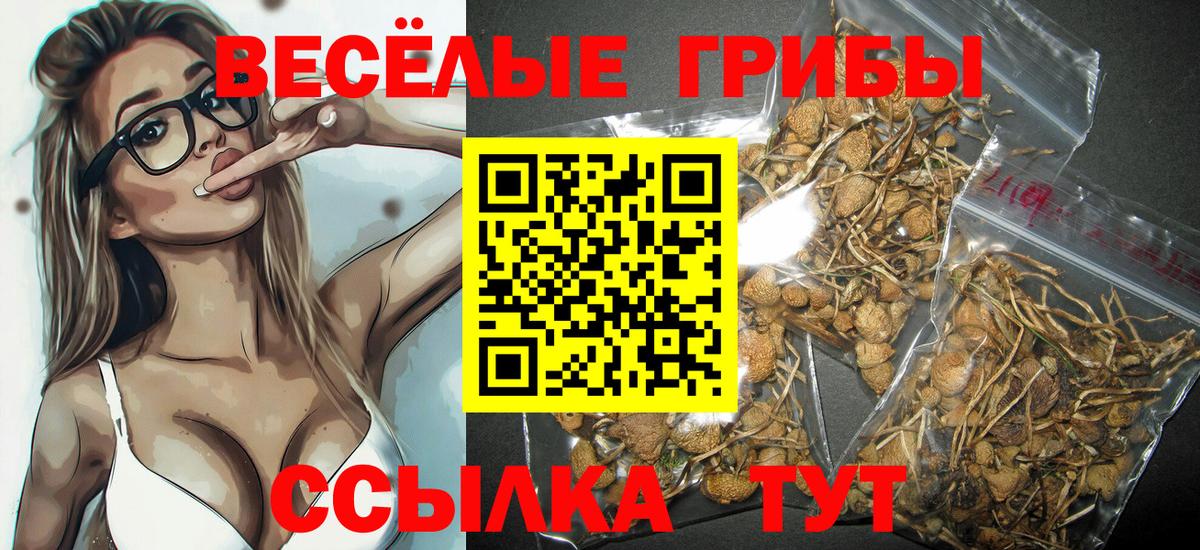 Тверь  Галлюциногенные грибы ЛСД  Вход с VPN 